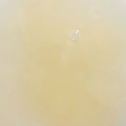 Santaverde Bakuchiol Drops - 30 ml