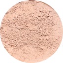 provida organics Earth Minerals Satin Matte Eye Shadow - Blond