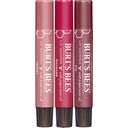 Burt's Bees Kissable Color - 1 Set