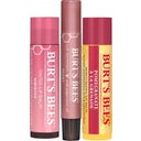 Burt's Bees Mistletoe Kiss Gift Set - 1 Set
