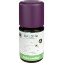 TAOASIS Polar Magic Fragrance Blend - 5 ml