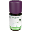 TAOASIS Geurmix Polar Magic - 5 ml