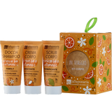 La Saponaria Farol Viaje