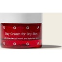Intensive Care Day Face Cream for Dry & Normal Skin - 30 ml