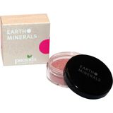 provida organics Earth Minerals Luminous Shimmer Blush