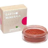 provida organics Earth Minerals Satin Matte Blush