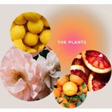 The Plants "Botanical Soul Bath" sůl do koupele