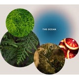 The Ocean "Refreshing Ocean Bath" sůl do koupele