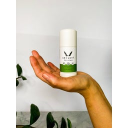 Nelipot Frishen Deodorant Stick - 55 g