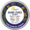 Shea Butter Lip Balm, 15 ml