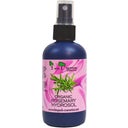 Organic Rosemary Hydrosol, 100 ml
