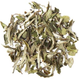 tea exclusive Thé Blanc Bio Pai Mu Tan - 100 g