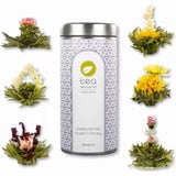 tea exclusive Theebloemenmix “Flower Fantasy”