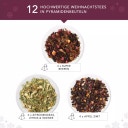 English Tea Shop Organic Tea Gift Set - Winter Balance - 12 pyramídových vrecúšok