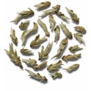 tea exclusive Ya Bao Buds Witte Thee - 50 g