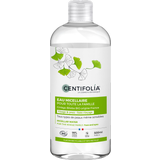 CENTIFOLIA Familyn Misellivesi