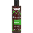 CENTIFOLIA Purifying Shampoo - 200 ml