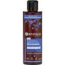 CENTIFOLIA 2in1 Purple Shampoo & Detangler - 200 ml