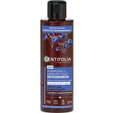 CENTIFOLIA 2in1 Purple Shampoo & Detangler