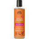 Urtekram Calendula - szampon do włosów dla dzieci - 250 ml
