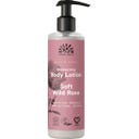 Urtekram Soft Wild Rose losjon za telo - 245 ml
