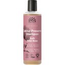 Soft Wild Rose sampon, 250 ml