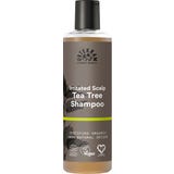 Urtekram Tea Tree Shampoo
