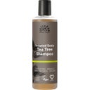 Urtekram Tea Tree Shampoo - 250 ml