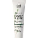 Urtekram Organic Eucalyptus Toothpaste - 75 ml