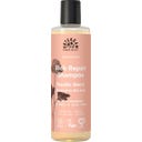 Nordic Berry Rich Repair Shampoo, 250 ml