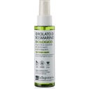 Idrolato di Rosmarino, 100 ml