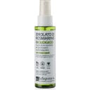 Rosemary Hydrosol, 100 ml