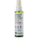 Hydrolat de Rose Bio, 100 ml