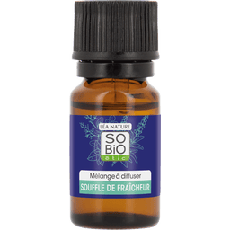 LÉA NATURE SO BiO étic Mélange à Diffuser - Souffle de Fraîcheur