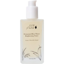 Fermented Rice Water Toner, 100 ml