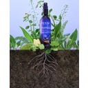 Melvita Agua Floral de Azahar - 200 ml