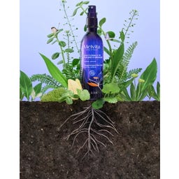 Melvita Agua Floral de Azahar - 200 ml