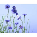 Melvita Ice Fresh Roll On Eye Contour - 10 ml