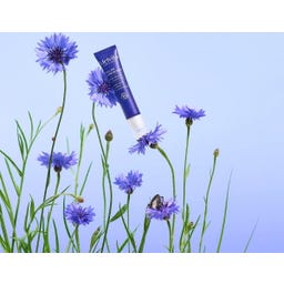 Melvita Roll-On Givré Contour des Yeux - 10 ml