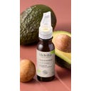 Melvita Avokádový olej - 50 ml