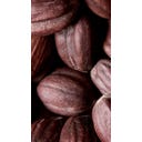 Melvita Aceite de jojoba - 50 ml