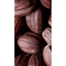 Melvita Aceite de jojoba - 50 ml