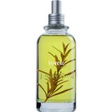 Jimmy Boyd Forest Organic Fresh Fragrance