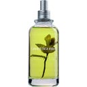 Jimmy Boyd Tea & Mint Organic Fresh Fragrance - 200 ml