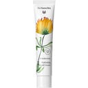 Dr. Hauschka Handcrème - Limited Edition - 75 ml