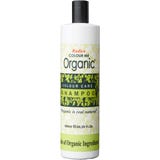 Radico Shampoing Protecteur de Couleur