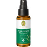 PRIMAVERA Adem Goed Kussenspray