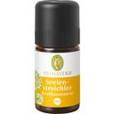 Концентрация на енергия за погалване на душата - 5 мл