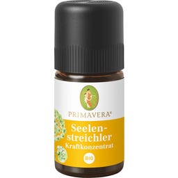 Концентрация на енергия за погалване на душата - 5 мл