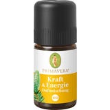 PRIMAVERA Me&scaron;anica organskih di&scaron;av Power & Energy